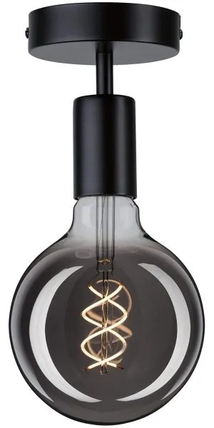 Paulmann 79760 - Mennyezeti lámpa HALDOR 1xE27/20W/230V