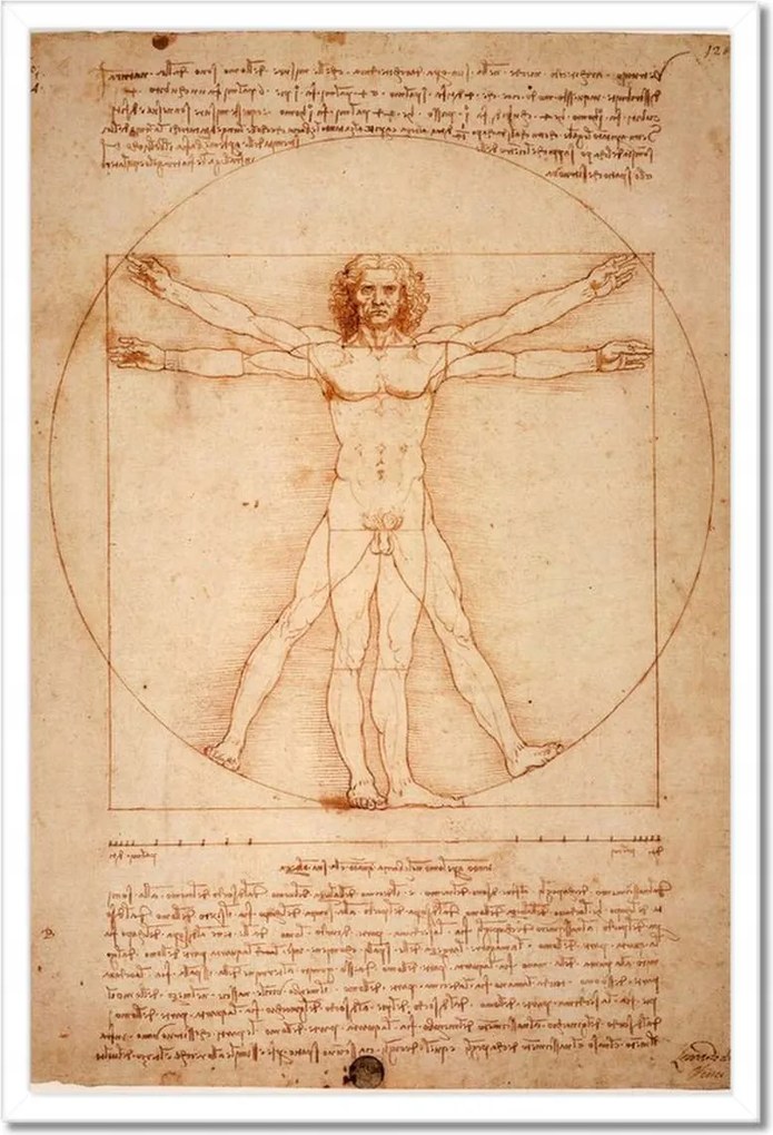 Poszterek keretben 40x60 Da Vinci vitruvius ember