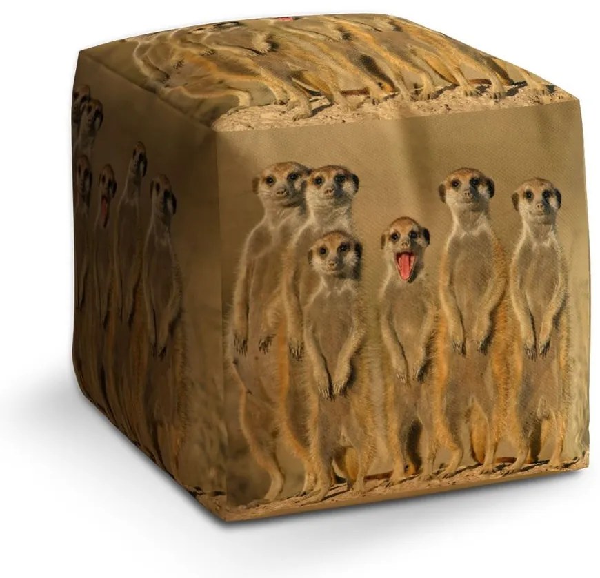 Cube zsámoly szurikáták, sárga