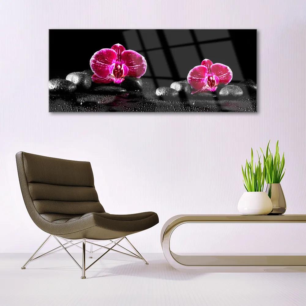 Üvegfotó Orchid Békéért 120x60cm