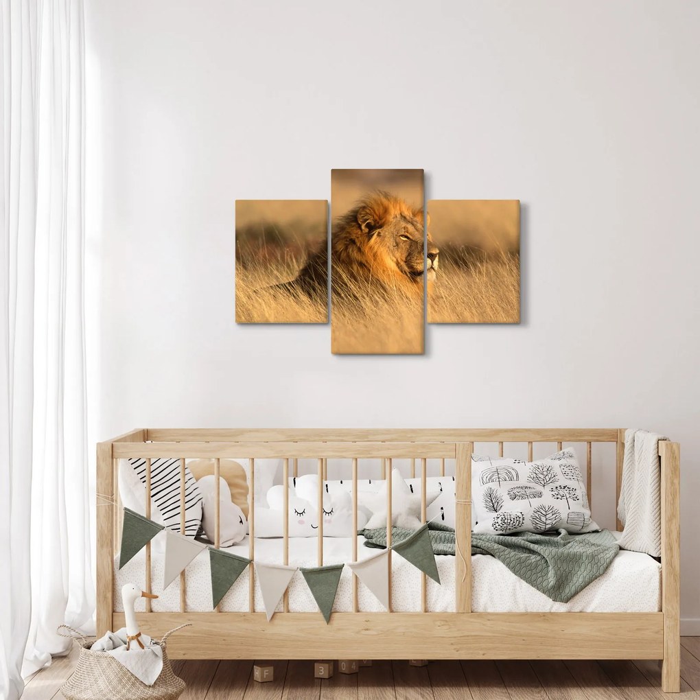 Kép - Etosha Nemzeti Park (90x60 cm)