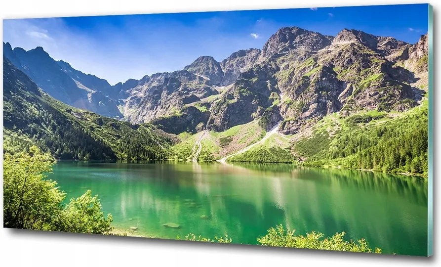 Fotó üvegkép Krokodilok a tisztáson 125x50