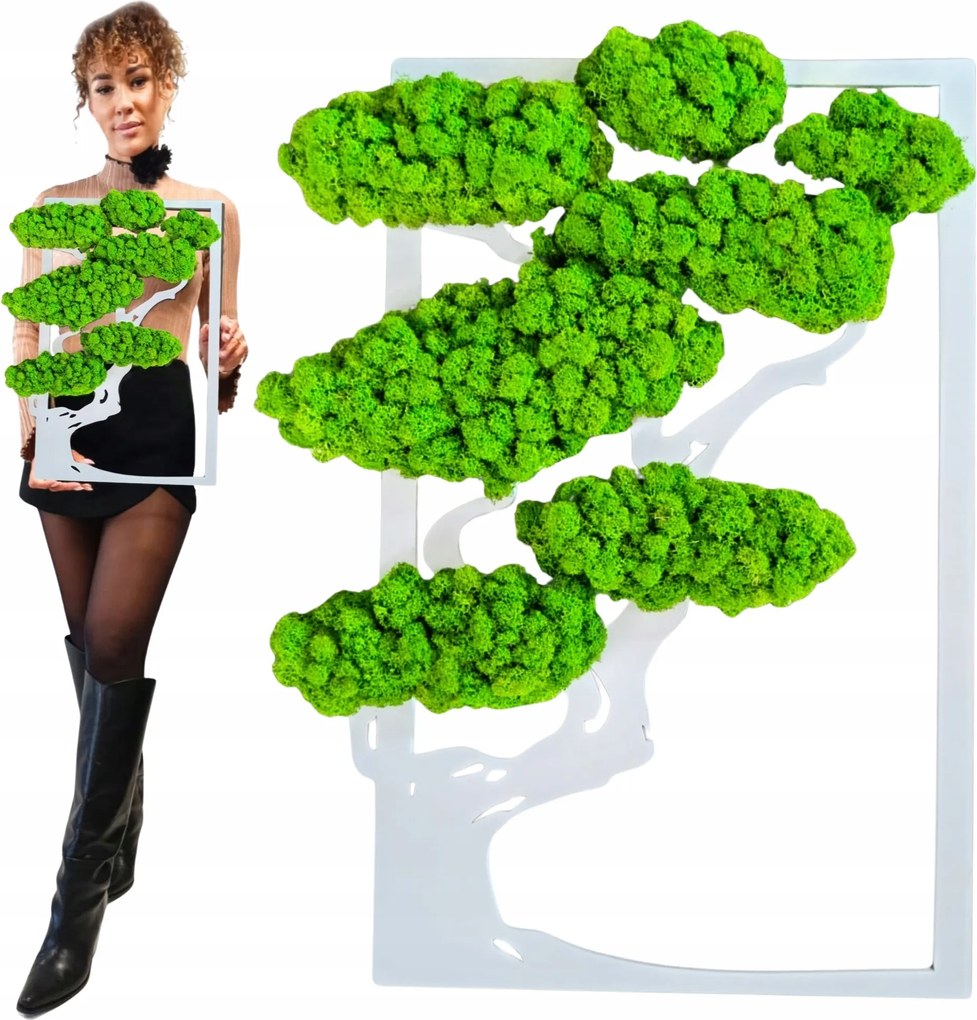 Kép Moha Élő Bonsai Fa Fali Dekoráció