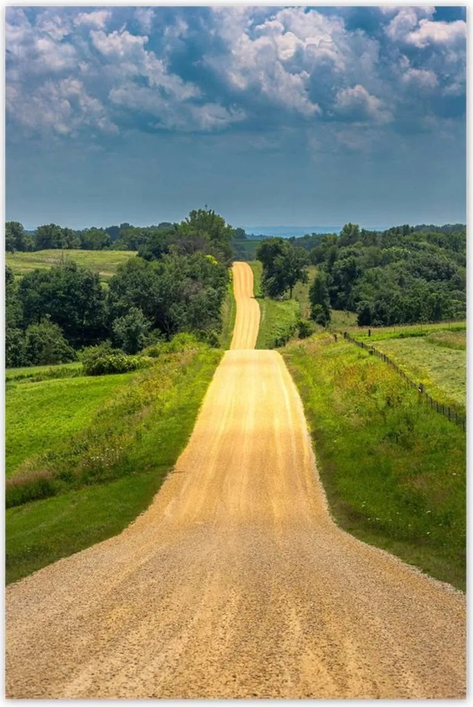 Poszterek 80x120 Út Rét Mező Erdő