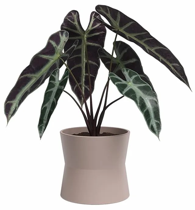 Kerámia virágcserép ø 14 cm Diana – Artevasi