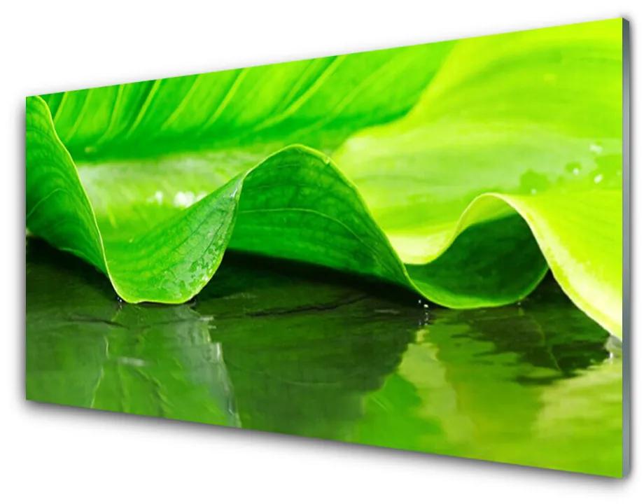 Üvegkép Növény levél Nature 140x70 cm
