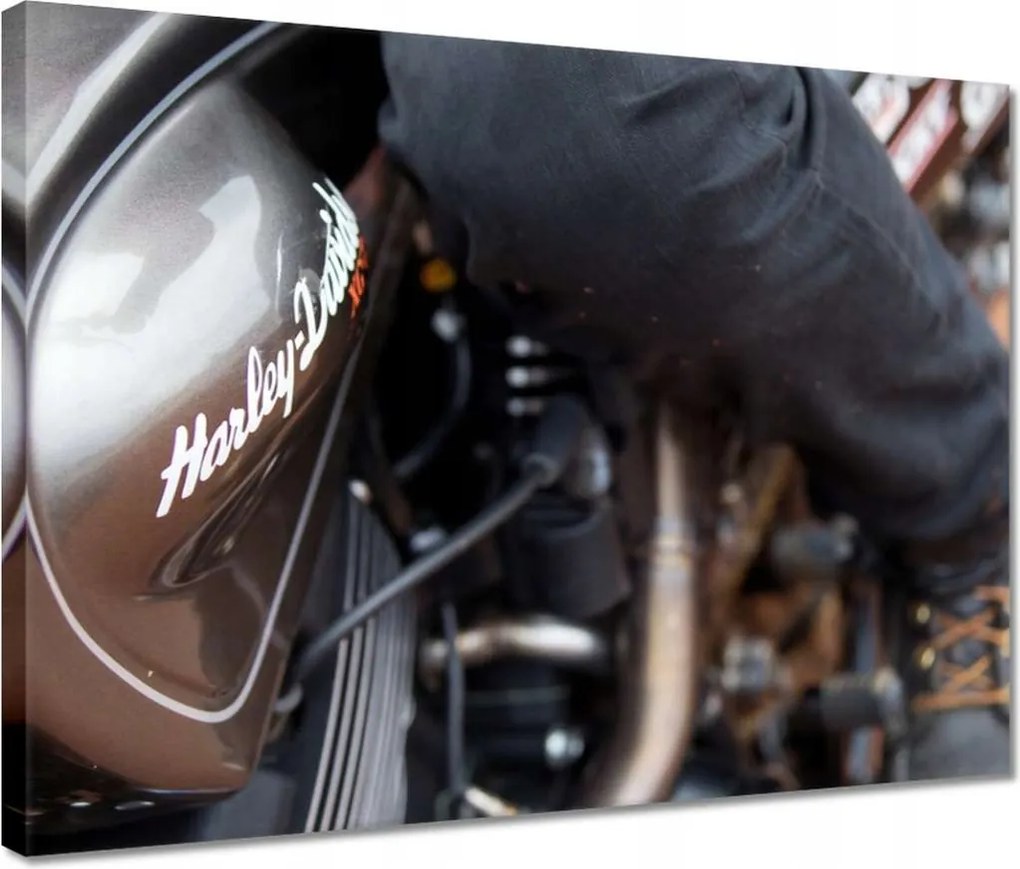 Vászonkép 40x30 Harley Davidson Motorkerékpár