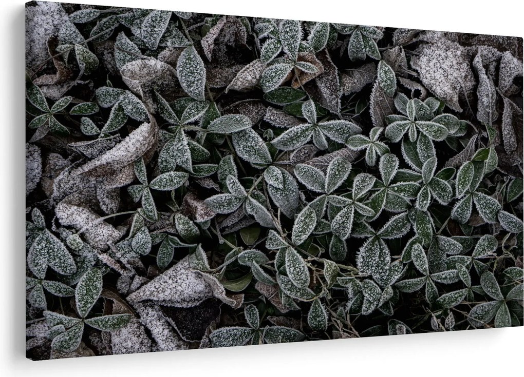Kép - Fagyasztott növények (90x60 cm)