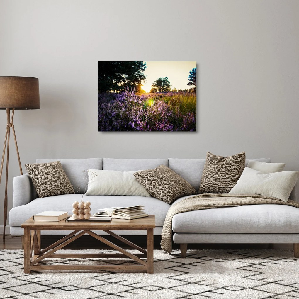 Egy levendulamező képe (üvegen) (70x50 cm)