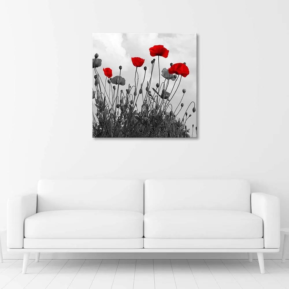 Gario Vászonkép Vörös mákvirágok Méret: 30 x 30 cm