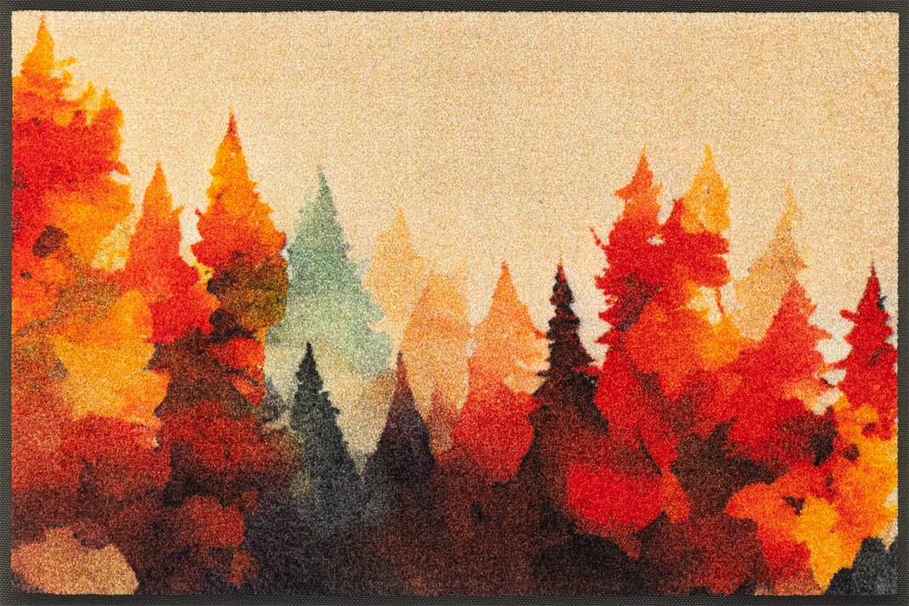 Lábtörlő bejárati szőnyeg|Wash+Dry|Golden Season 50x75cm