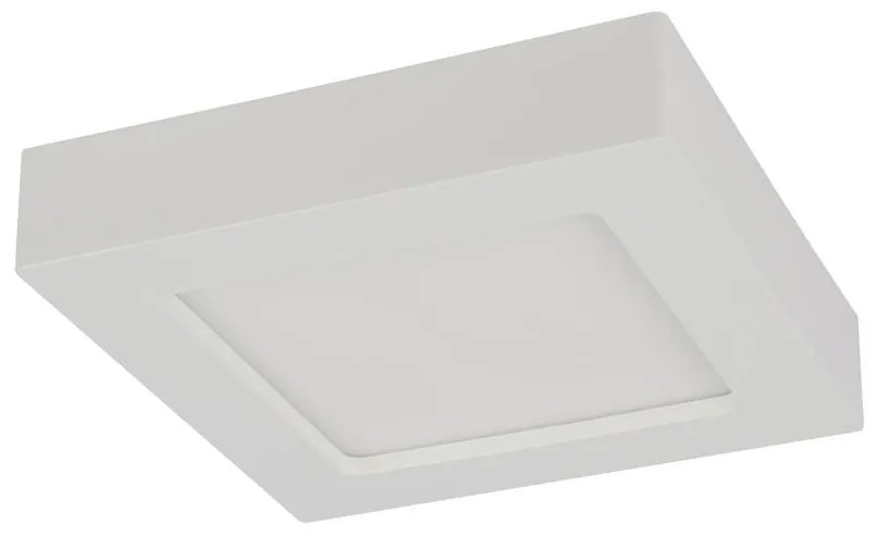 Globo GLOBO 41606-18 - LED fürdőszobai mennyezeti lámpa SVENJA 1xLED/18W/230V GL4854