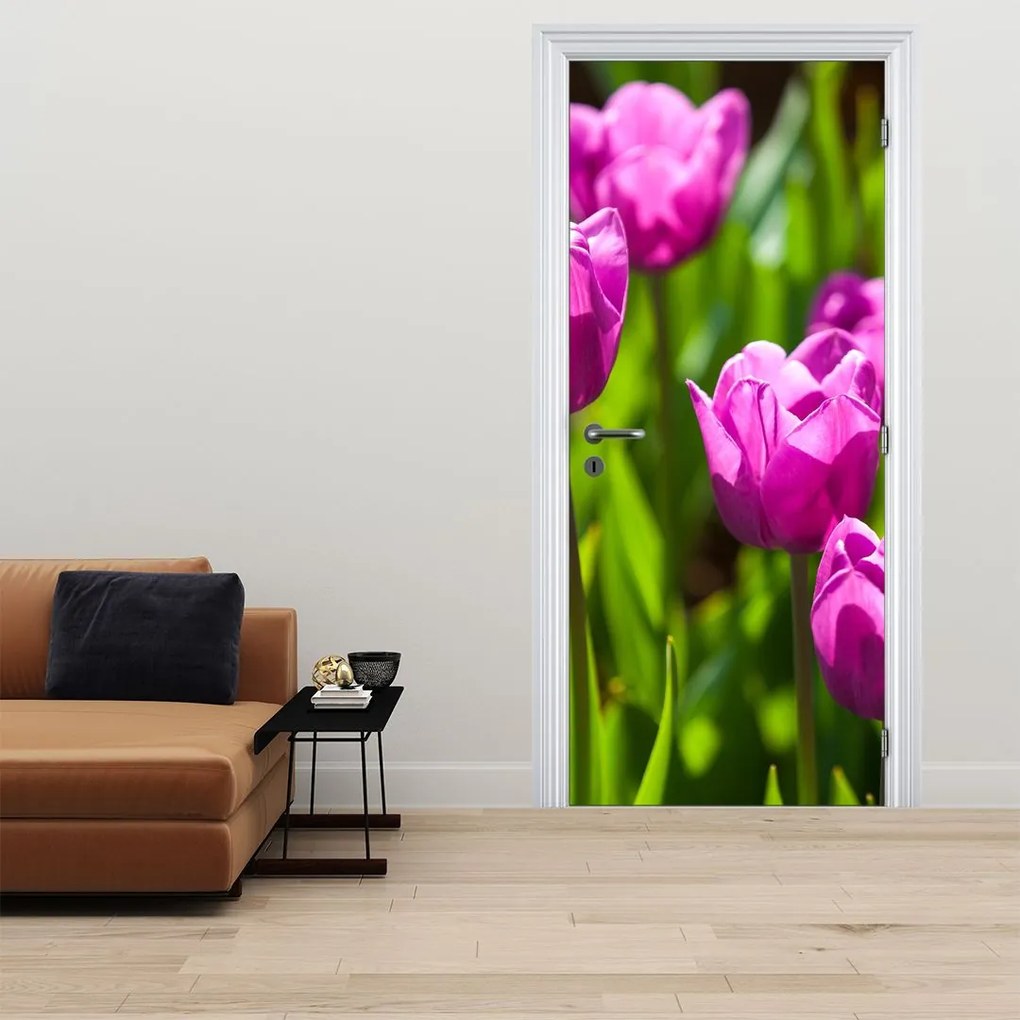 Fotótapéta ajtóra - Tulipánok a réten (95x205cm)