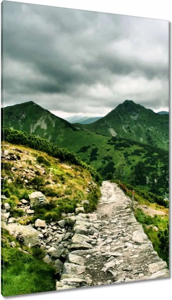 Vászonkép 80x120 Drlábak a Tátrában