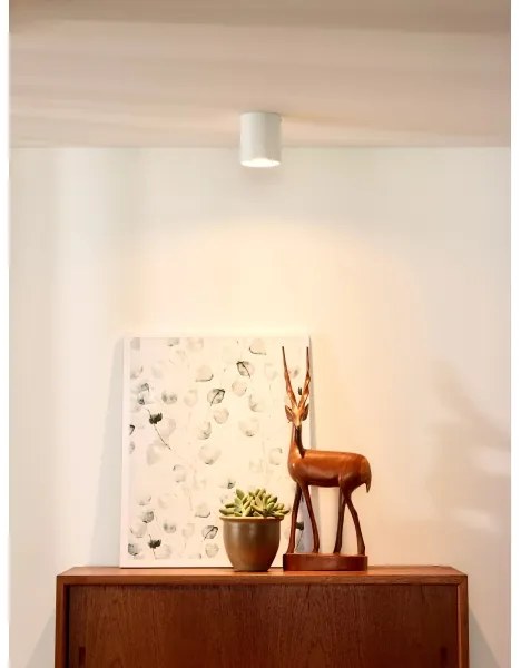 Lucide 09100/01/31 - Spotlámpa BODI 1xGU10/50W/230V