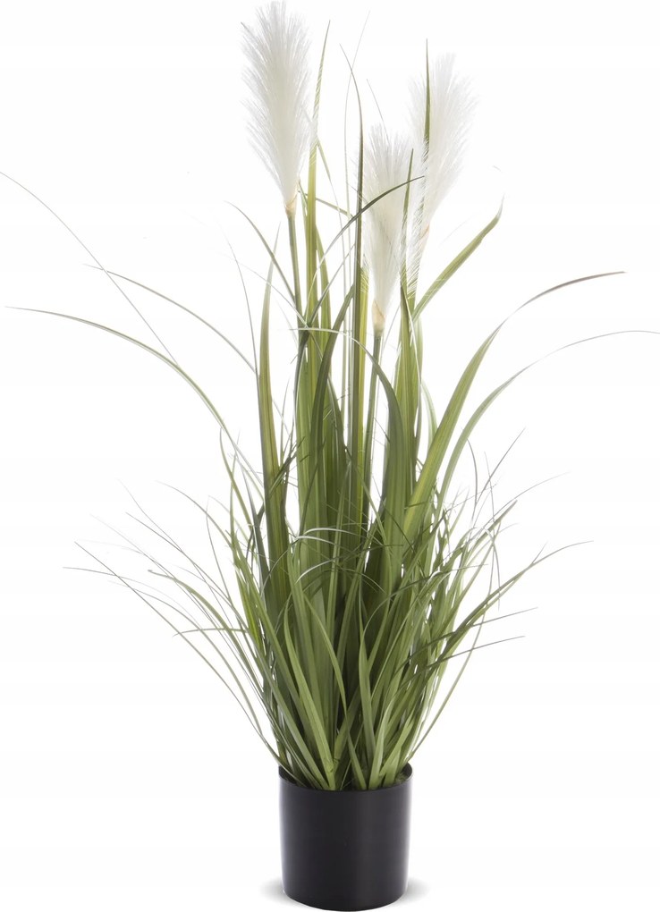 Zöld fű dekoratív növény egy cserépben