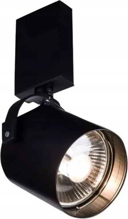 Spot lámpa Tenri 2242 Antigo