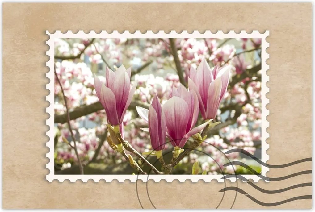 Poszterek 90x60 Magnólia