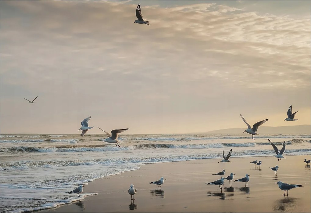 Fotótapéta Flizelin a Hálószobába Nappali Tengerparti nyugalom 152x104 Ragasztó