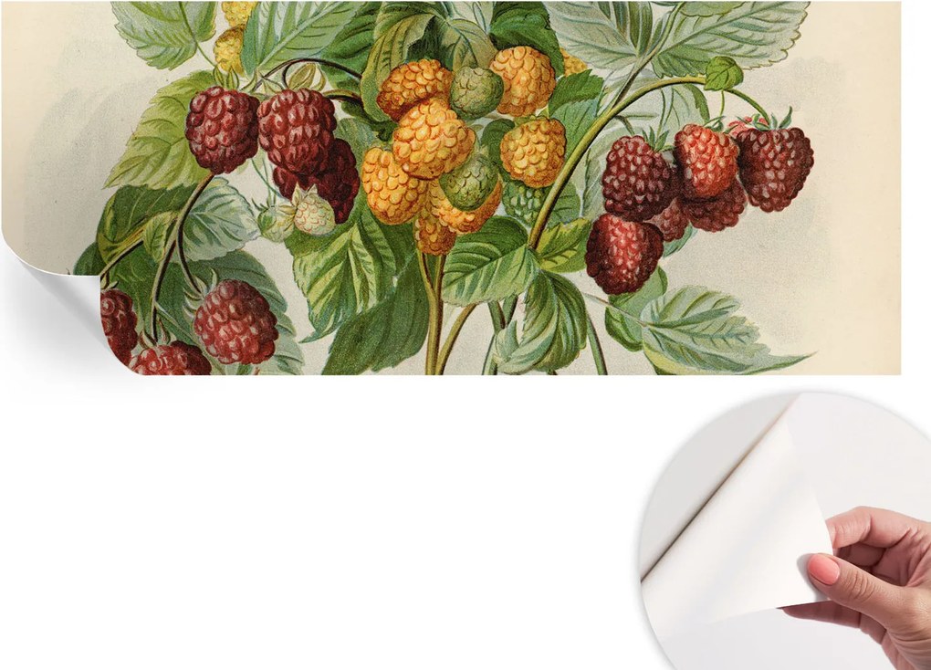 Öntapadós tapéta Divatos 3D fali ragasztóval Klasszikus málna 250x104 cm