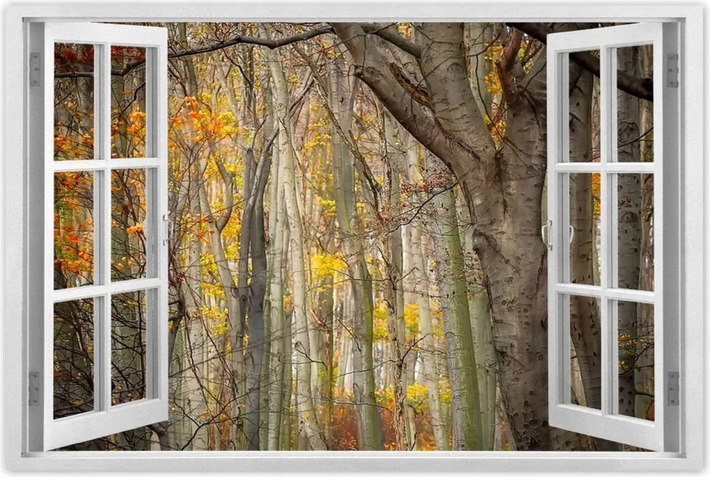 Poszterek 60x40 Tájkép Látvány