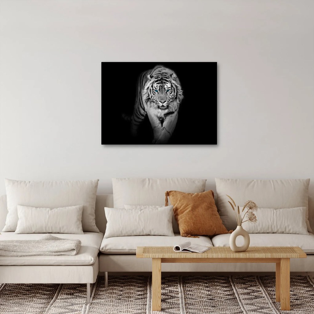 Kép - Tigris kék szemekkel (70x50 cm)