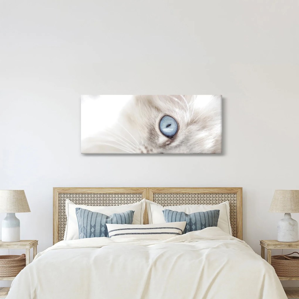 Kép - Kék szemű macska (120x50 cm)
