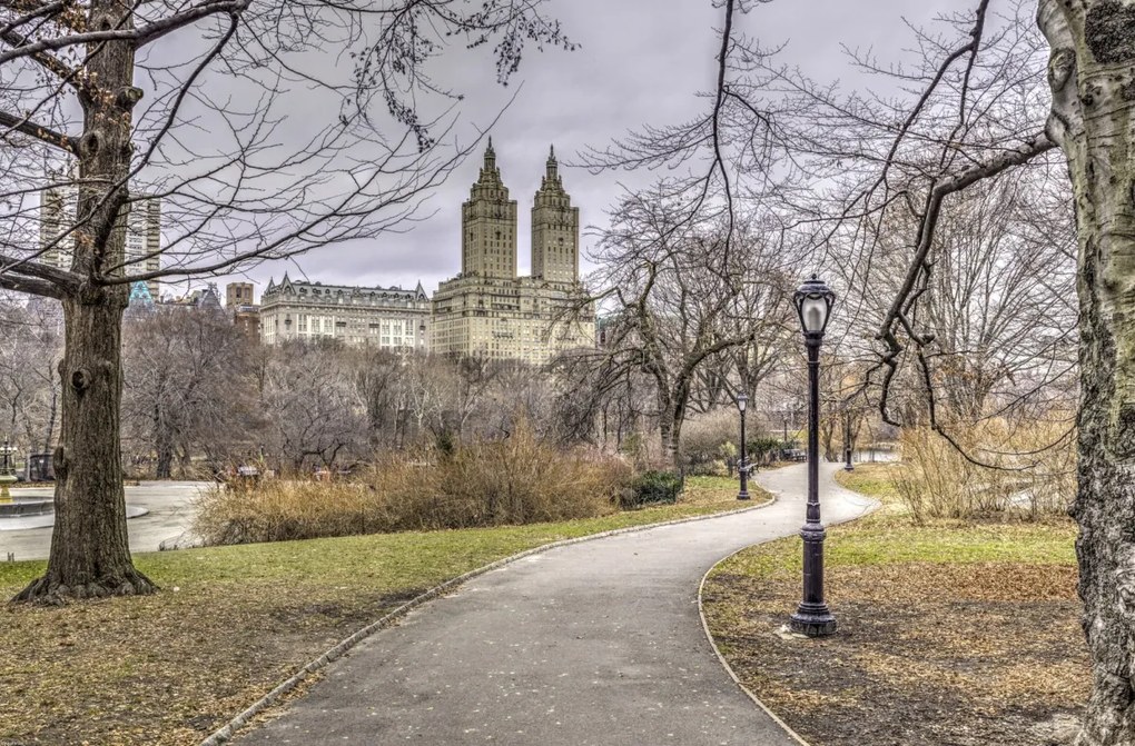 Poszter 86,4x56,8cm Ösvény a központi parkon át 3, Assaf Frank