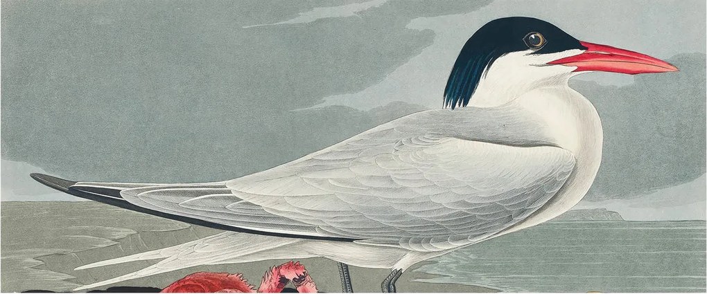 Fotótapéta Flizelin Dekoratív tapéta Tengeri táj 250x104 Ragasztó