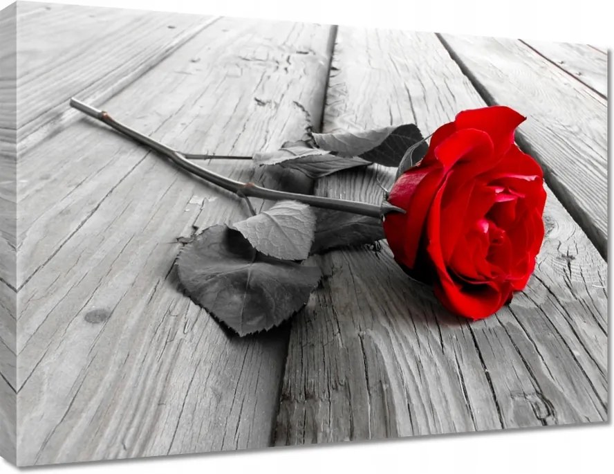 Vászonkép 70x50 Rózsa a hídon