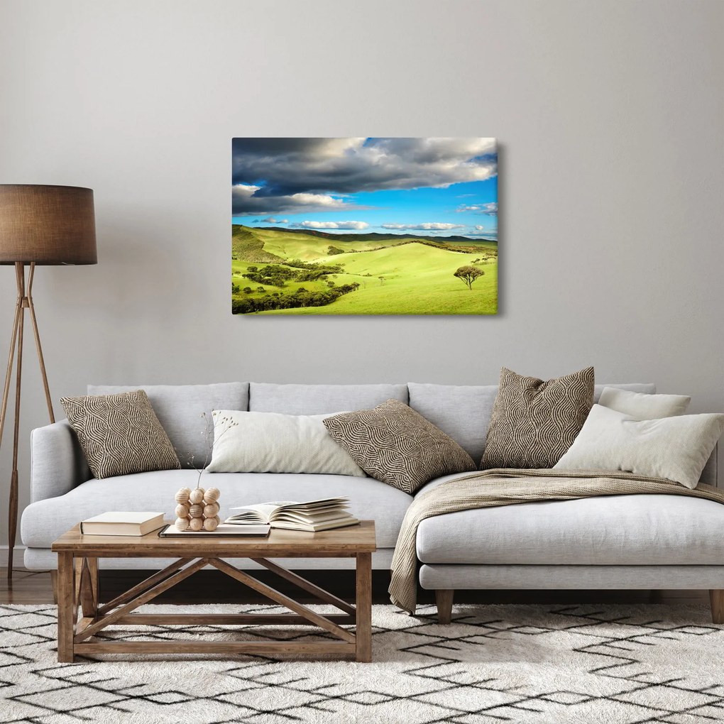 Kép - Zöld táj dombokkal (90x60 cm)