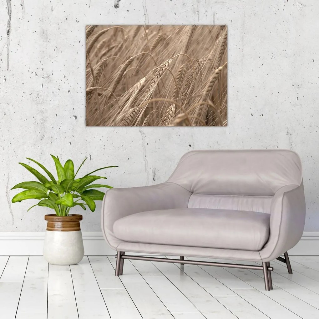 Üveg kép - Az arany mező (70x50 cm)