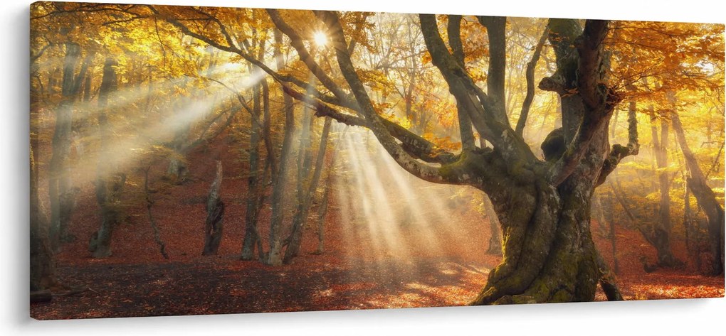Kép - Őszi fény (120x50 cm)