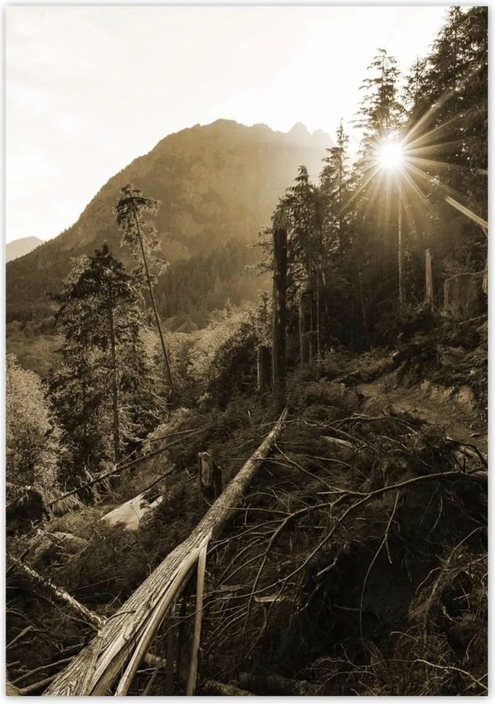 Poszterek 70x100 Szépia tájkép Szépia