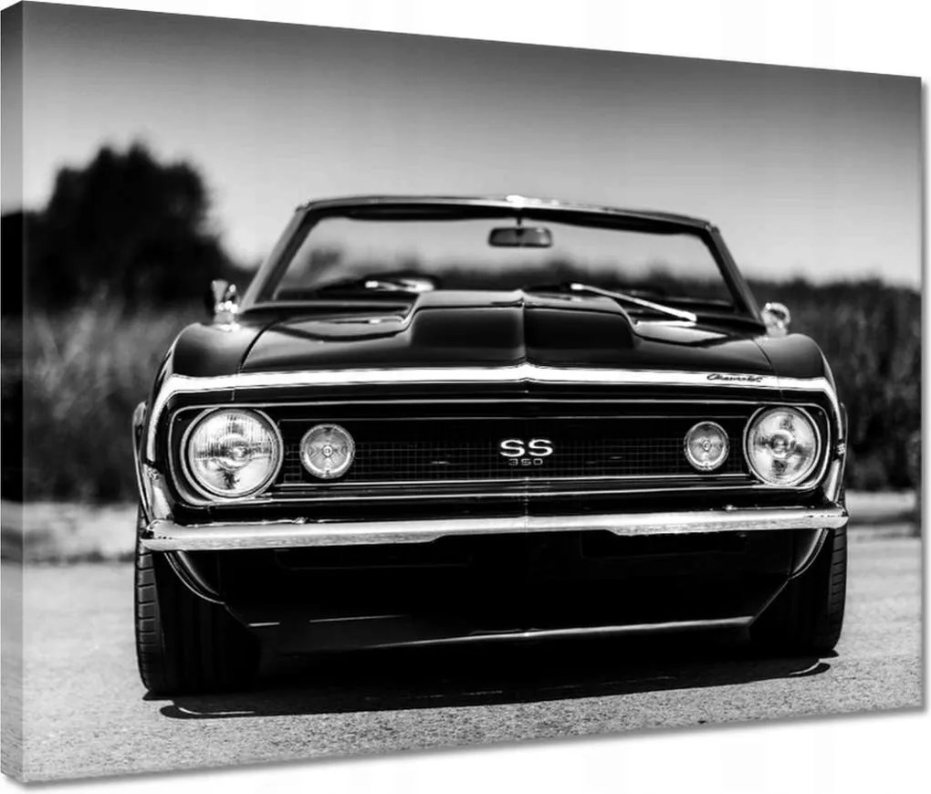 Képek 40x30 Chevrolet Camaro Ss 350