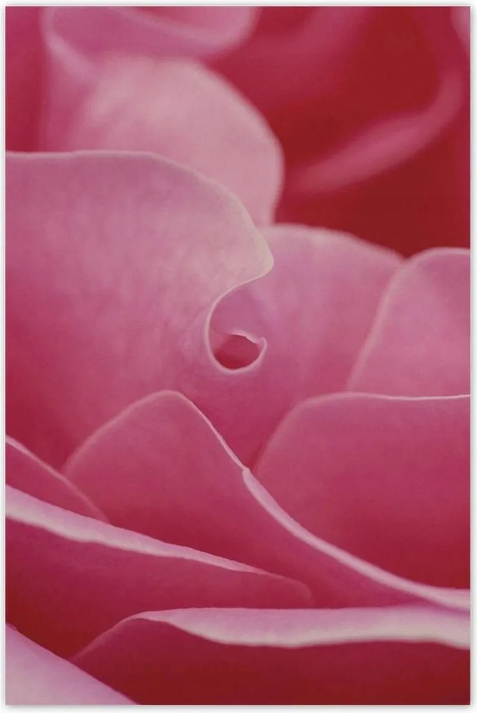 Poszterek 80x120 Nőnap Ajándék Love