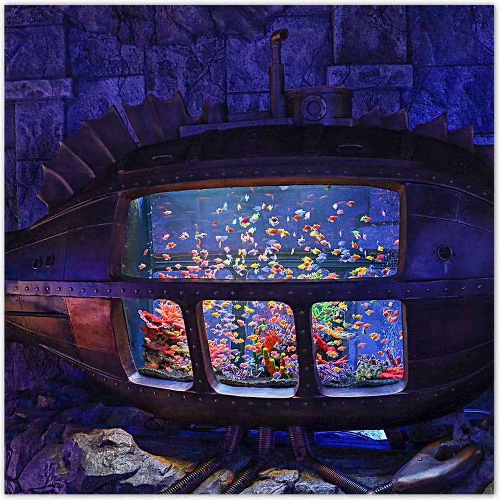 Poszterek 30x30 A halak víz alatti világa