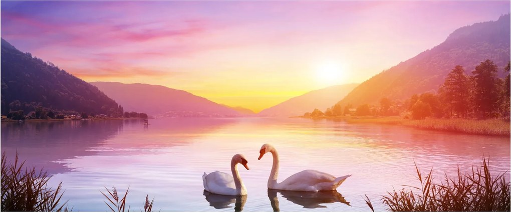 Szerelmes hattyúk képe (120x50 cm)