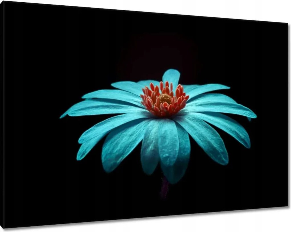 Vászonkép 100x70 Türkiz virág