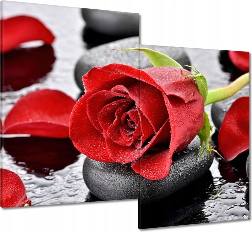 Vászonkép 80x70 Vörös rózsa Neki