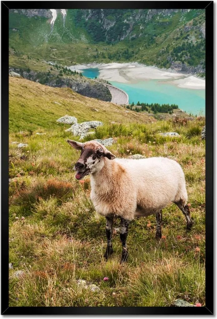 Poszterek keretben 40x60 Juh legeltetés Bárányok