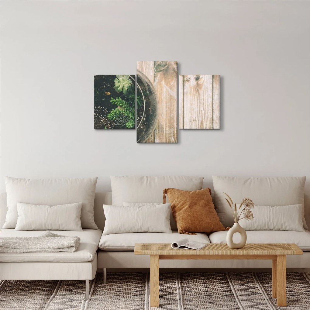 A pozsgás növények képe üvegben (90x60 cm)