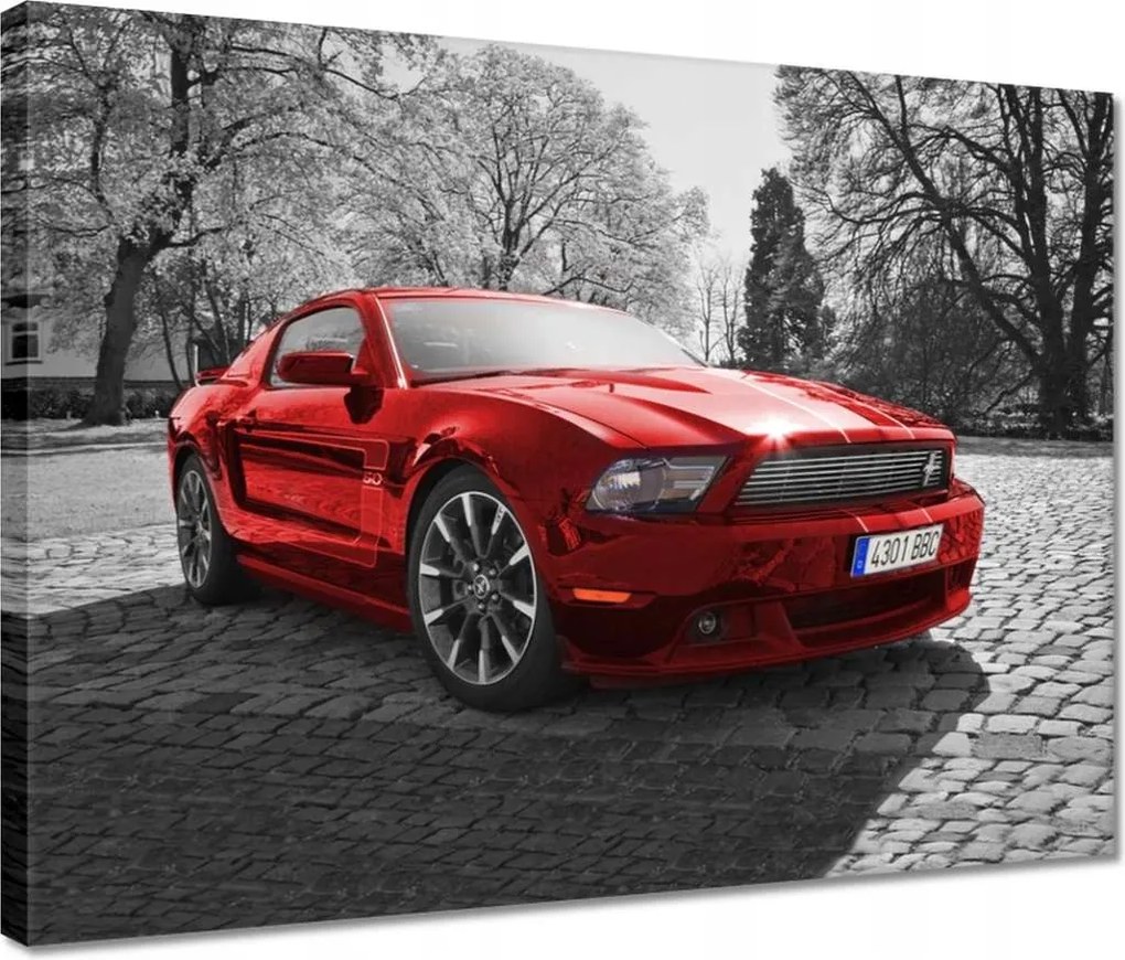 Vászonkép 40x30 Piros Ford Mustang Usa
