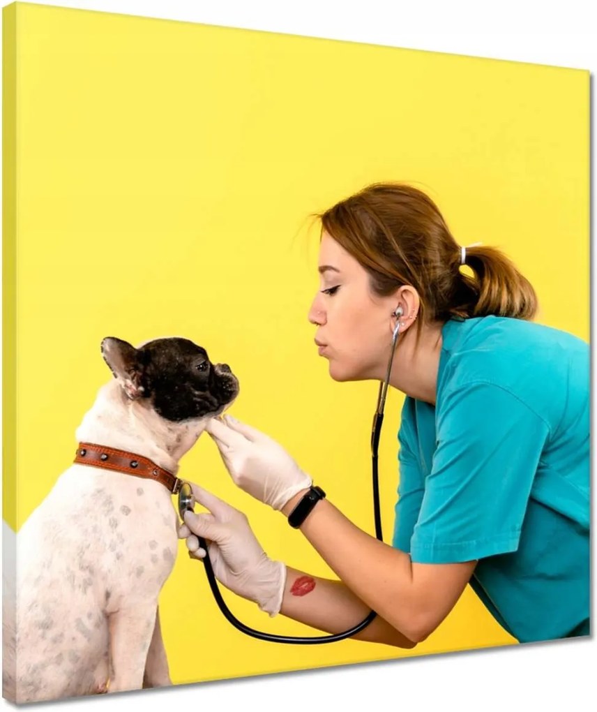 Vászonkép 40x40 Állatorvos komoly kutya