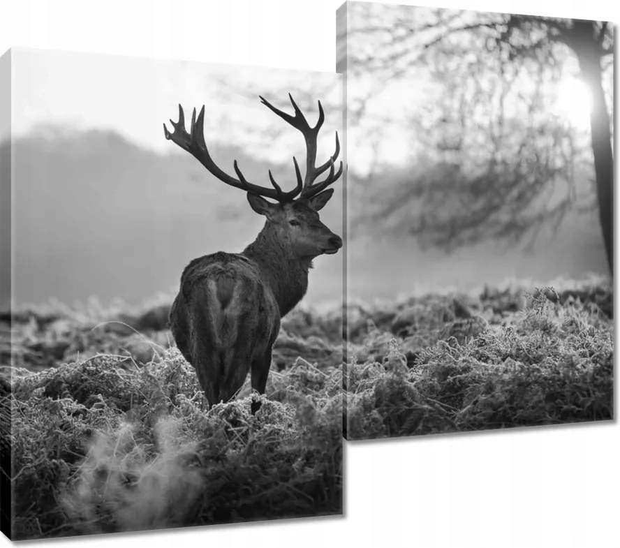Vászonkép 80x70 Szarvas a rikkancson
