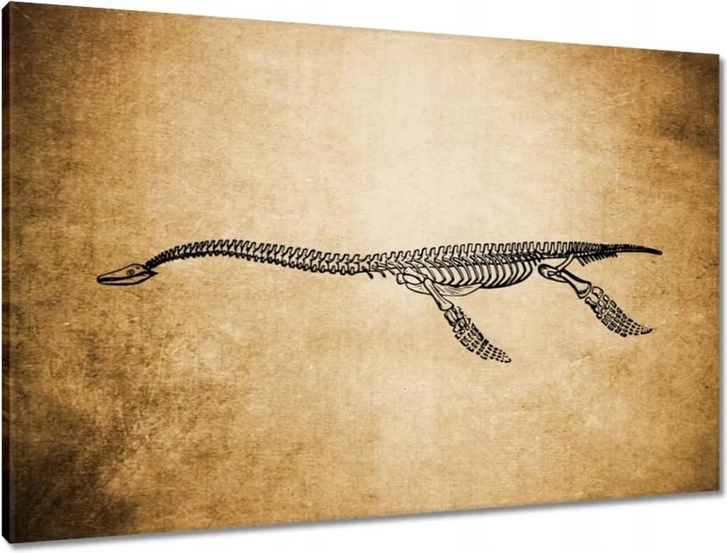 Vászonkép 90x60 Dinoszaurusz őstörténet Dino