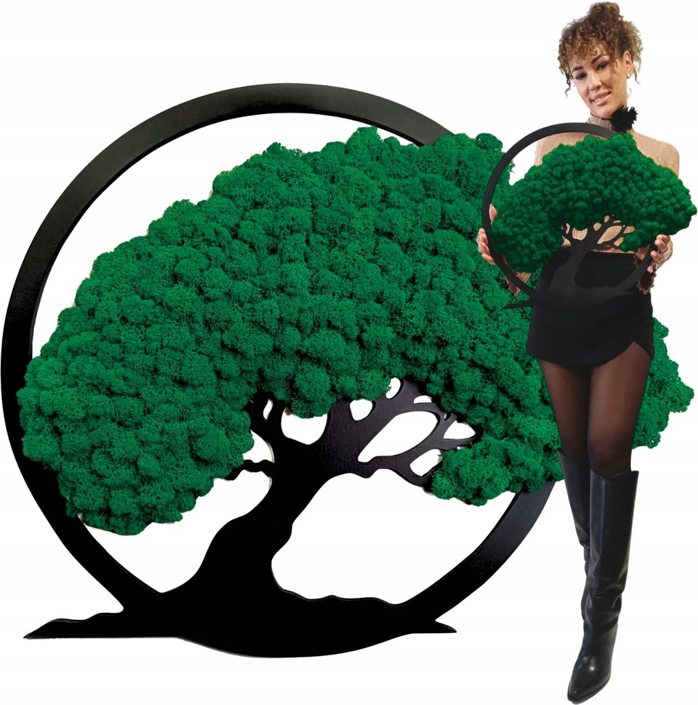 Vászonkép Moha Bonsai Fa Moha Fa Ajándék 50cm