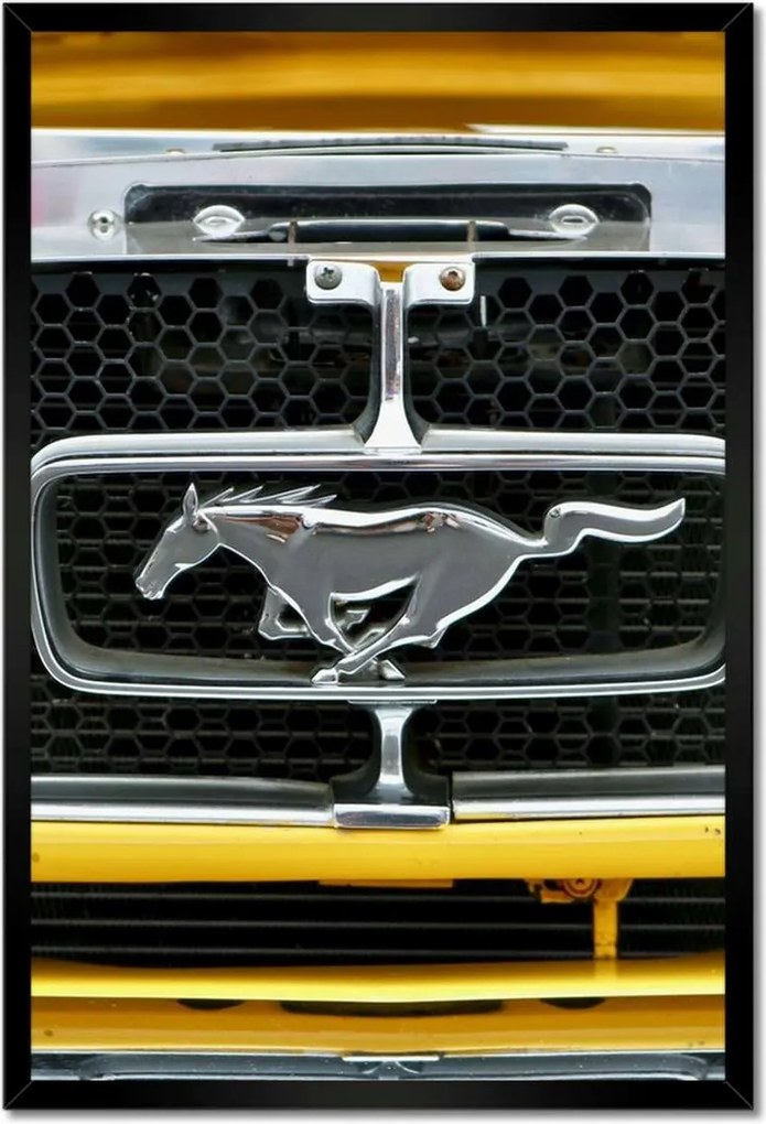 Poszterek keretben 40x60 Mustang bélyeg Ford Usa
