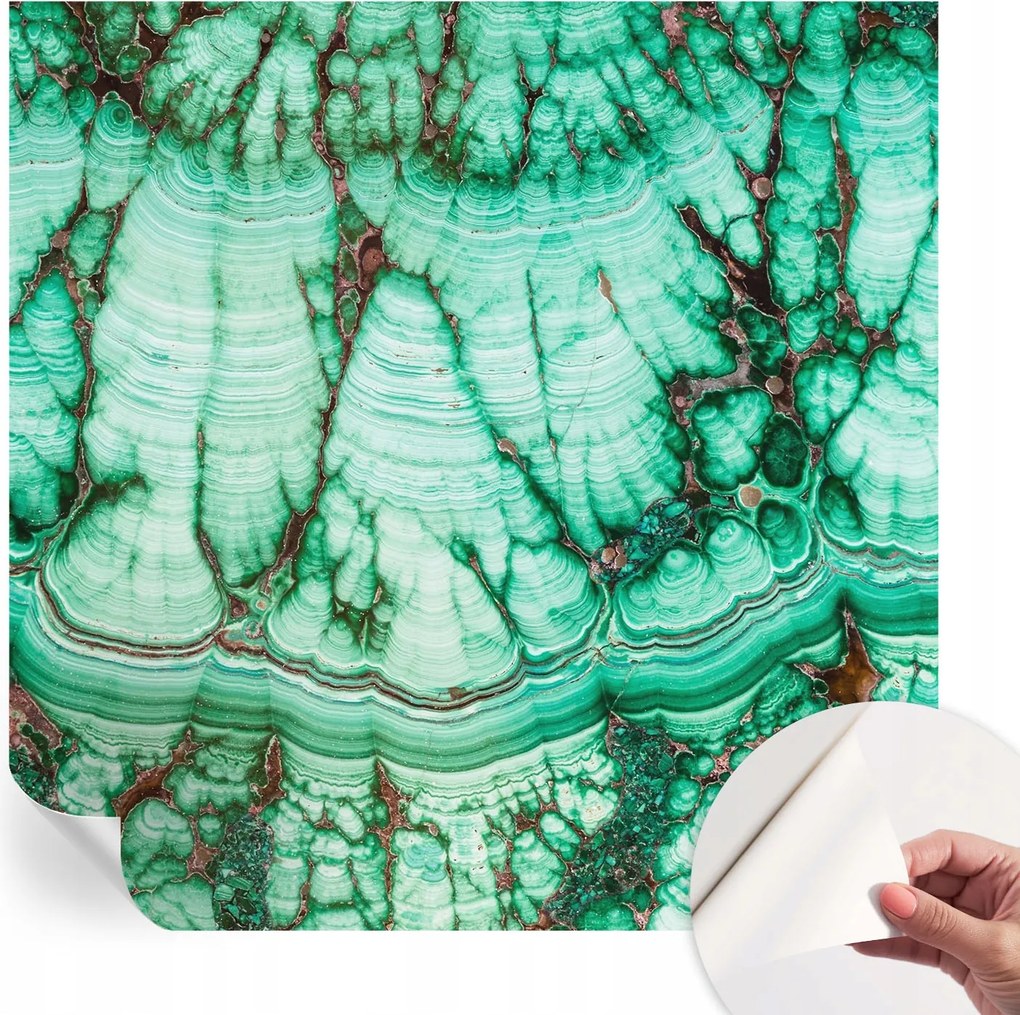 Öntapadós fotótapéta Nappaliba és Hálószobába Zöld minták 250x250