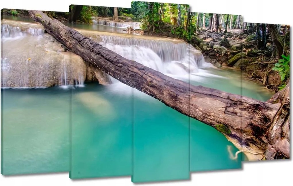 Vászonkép 100x60 Kidőlt fa